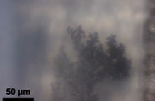 이차전지 내부 관찰 연구 이미지