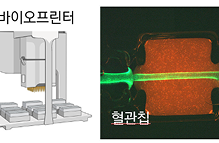 바이오 나노입자 제조 이미지