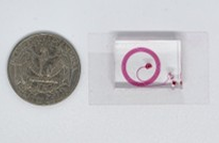 뇌 유래 엑소좀 검출을 위한 분리 및 검출 시스템 이미지