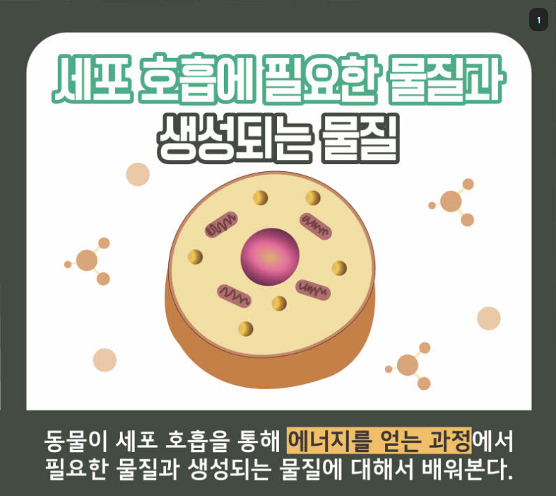 세포 호흡에 필요한 물질과 생성되는 물질