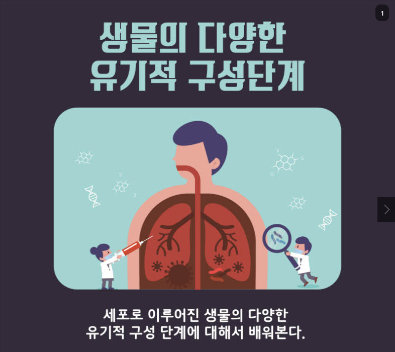 생물의 다양한 유기적 구성단계