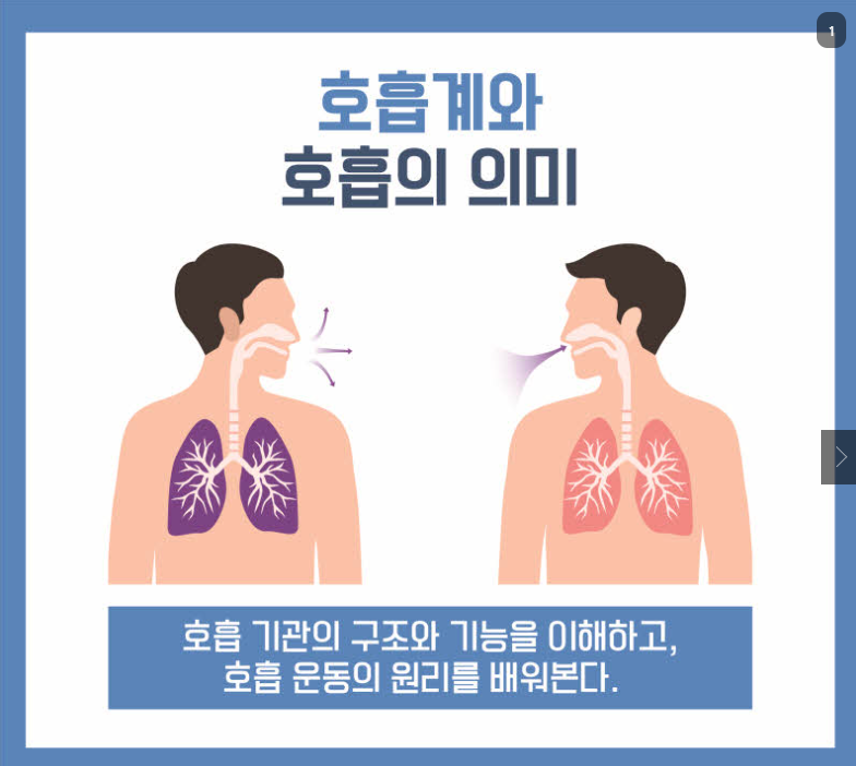 호흡계와 호흡의 의미