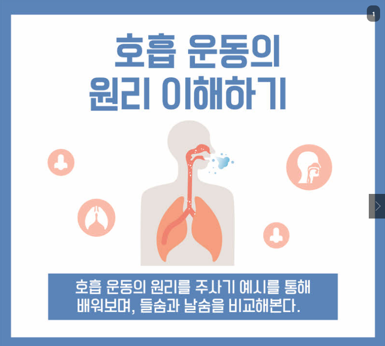 호흡 운동의 원리 이해하기