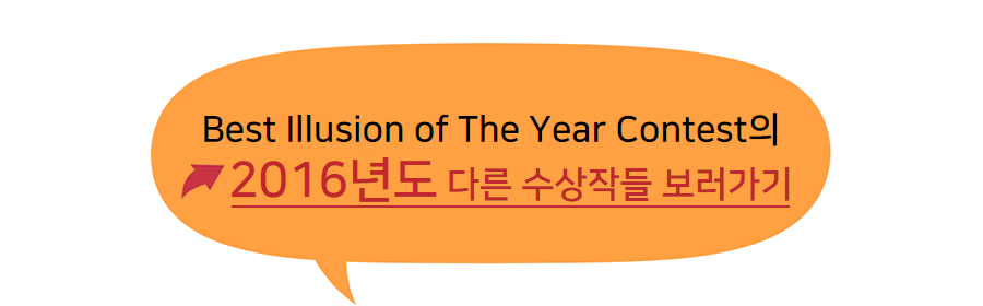 Best Illusion of The Year Contest 2016년도 다른 수상작들 보러가기