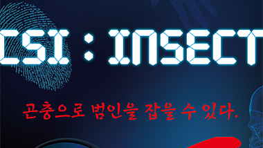 전시 < SCI : INSECT >