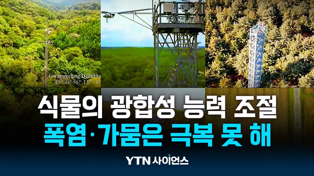 '지구온난화' 식물도 적응한다...광합성 능력 조절