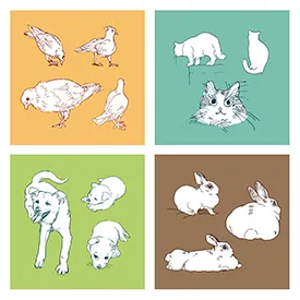 먹는 치매 신약 후보물질 5,037억원에 해외 기술수출 계약!