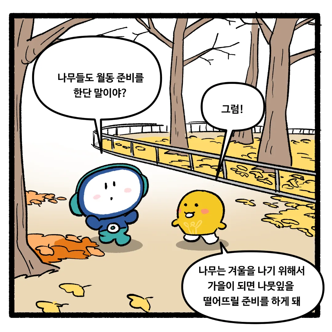 19화_나뭇잎의 색깔이 알록달록하게 변하는 이유