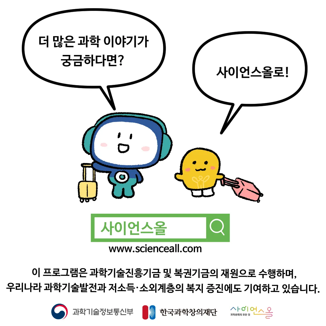 20화_비행기에 네모난 창문이 없는 이유