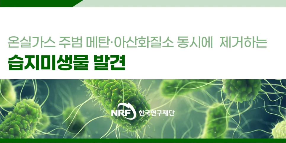 [연구성과] 온실가스 주범 메탄·아산화질소 동시에 제거하는 습지미생물 발견