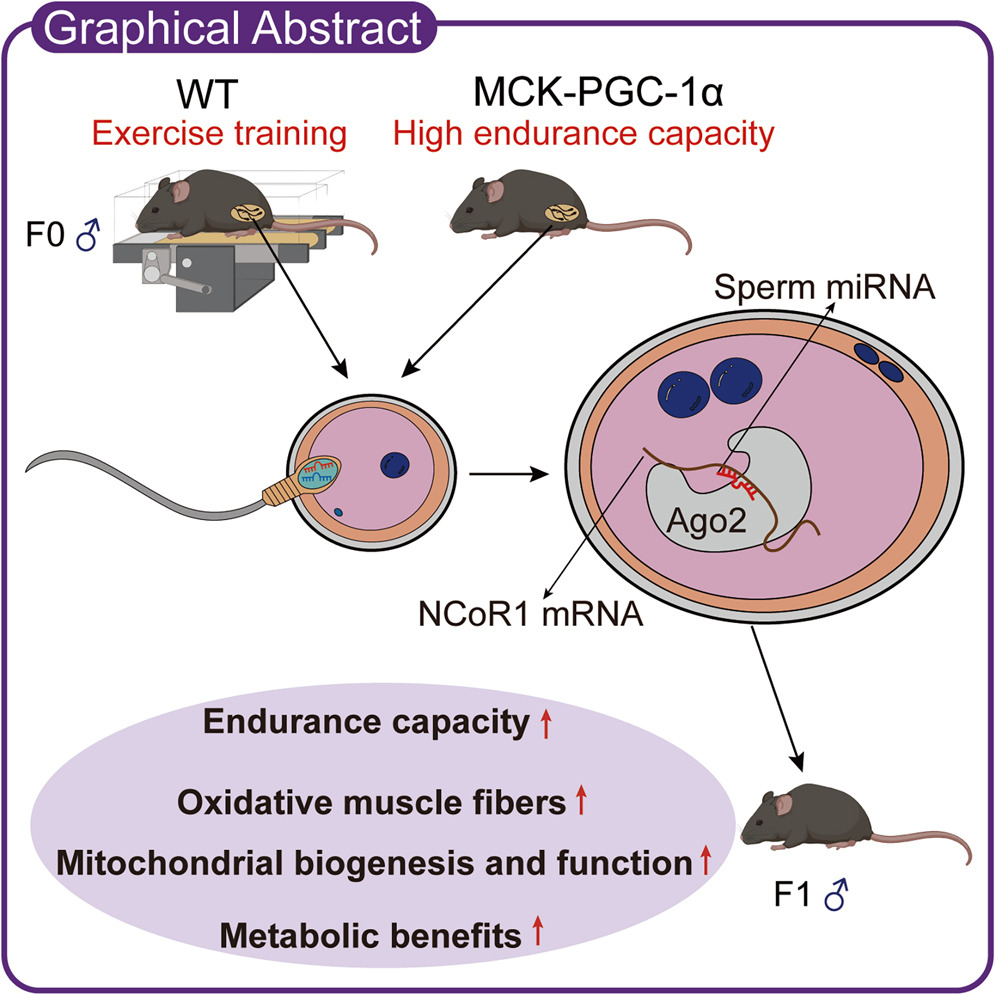 external_image external_image