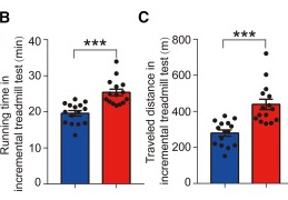 external_image external_image