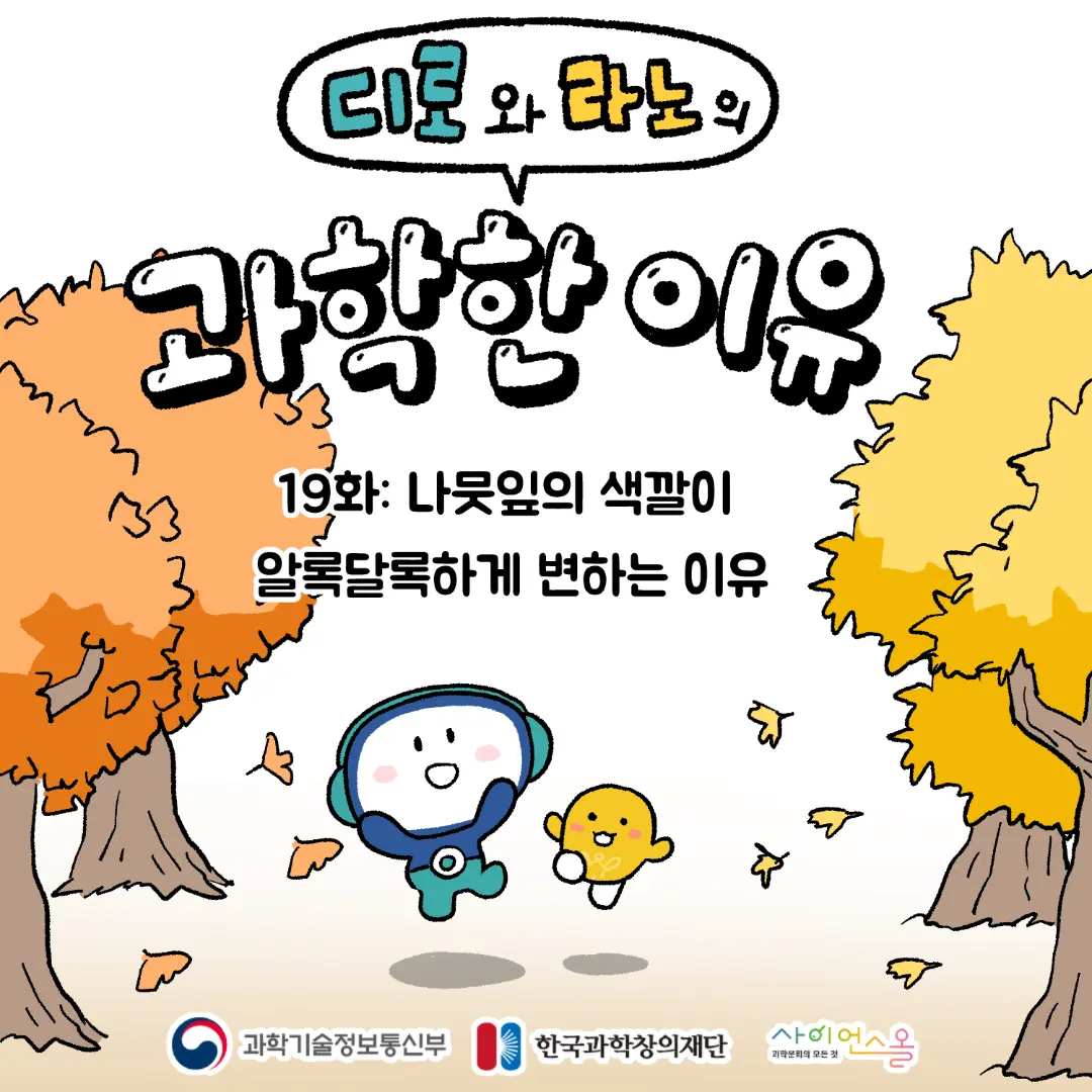 19화_나뭇잎의 색깔이 알록달록하게 변하는 이유