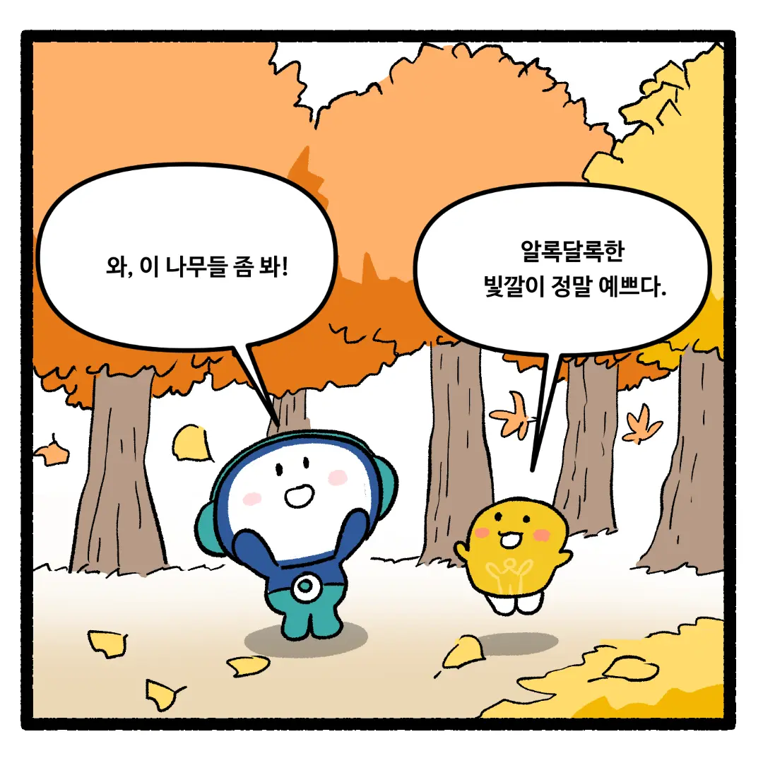 19화_나뭇잎의 색깔이 알록달록하게 변하는 이유