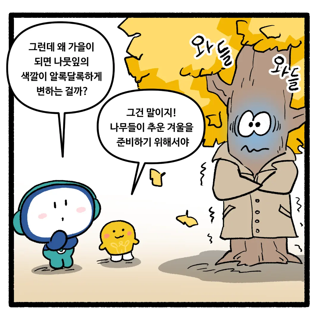 19화_나뭇잎의 색깔이 알록달록하게 변하는 이유