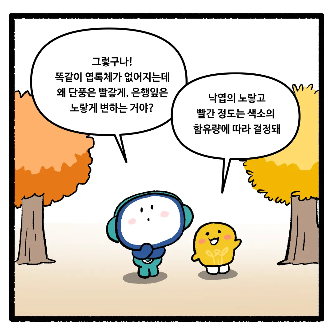 19화_나뭇잎의 색깔이 알록달록하게 변하는 이유