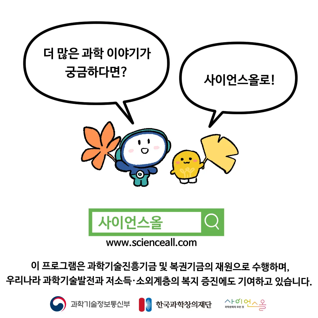 19화_나뭇잎의 색깔이 알록달록하게 변하는 이유