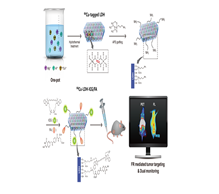테라노스틱스 진단 수술 동시 가능한 영상 나노 플랫폼 개발 이미지1