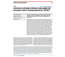 APOE4 알츠하이머 발병 기전 제시 이미지1