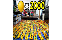 전기값이 너무 비싸져서 레몬2000개로 충전해보았습니다