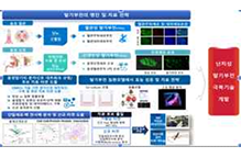 살아있는 바이오인공장기 이미지
