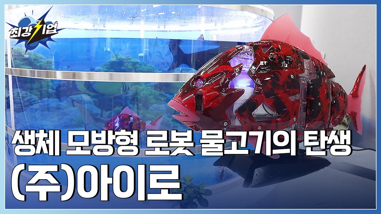 [최강기업] 수중의 새로운 문화를 만들다! 생체 모방형 로봇 물고기 기술