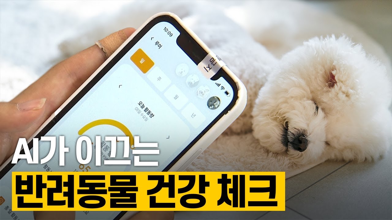 [핫클립] 인공지능 기반 반려동물 건강관리