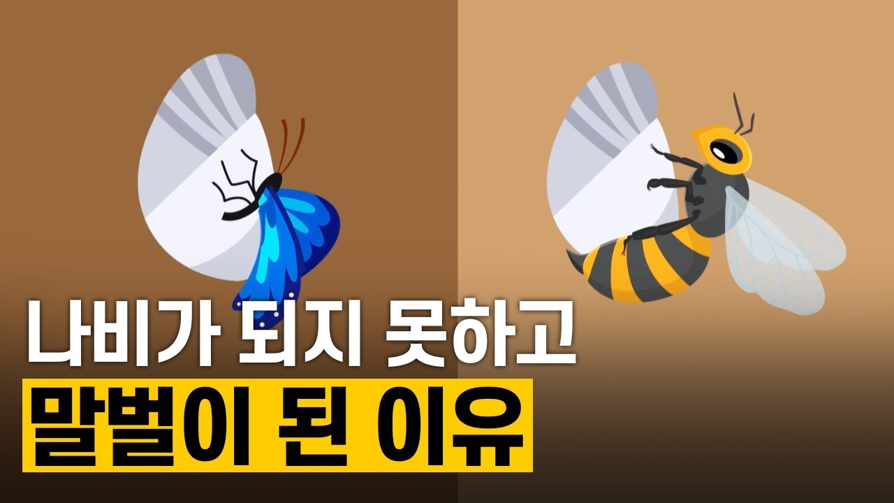 [핫클립] 동물들의 공격적인 속임수 전략