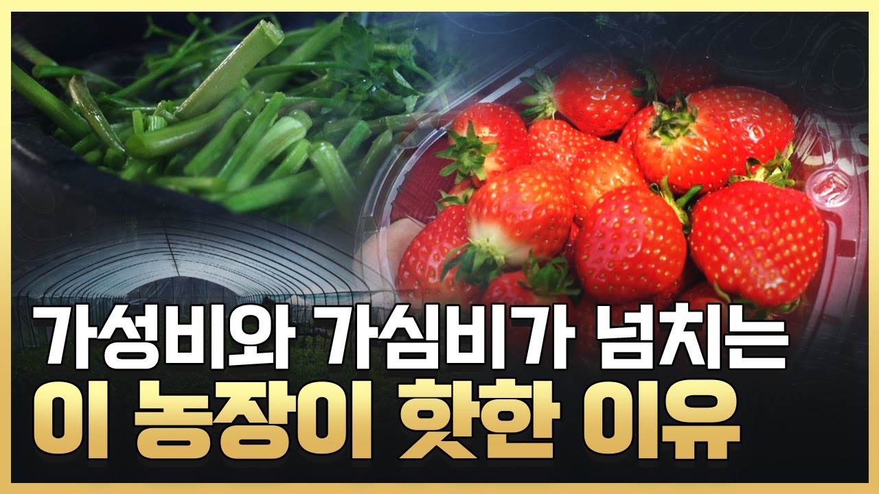 [황금나침반] 이 농장이 핫한 이유