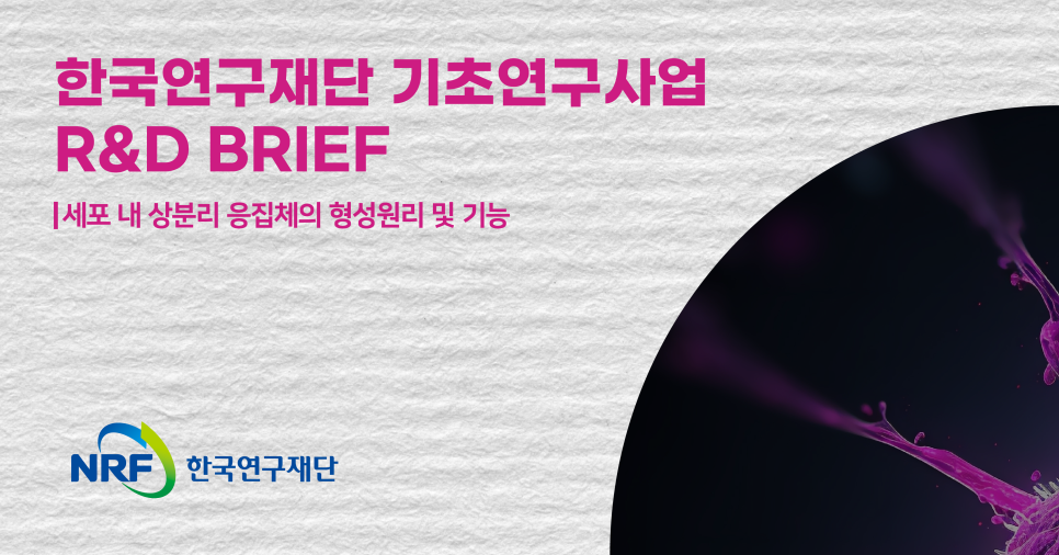 [NRF R&D BRIEF] 세포 내 상분리 응집체의 형성원리 및 기능