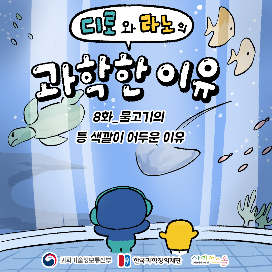 8화_물고기의 등 색깔이 어두운 이유