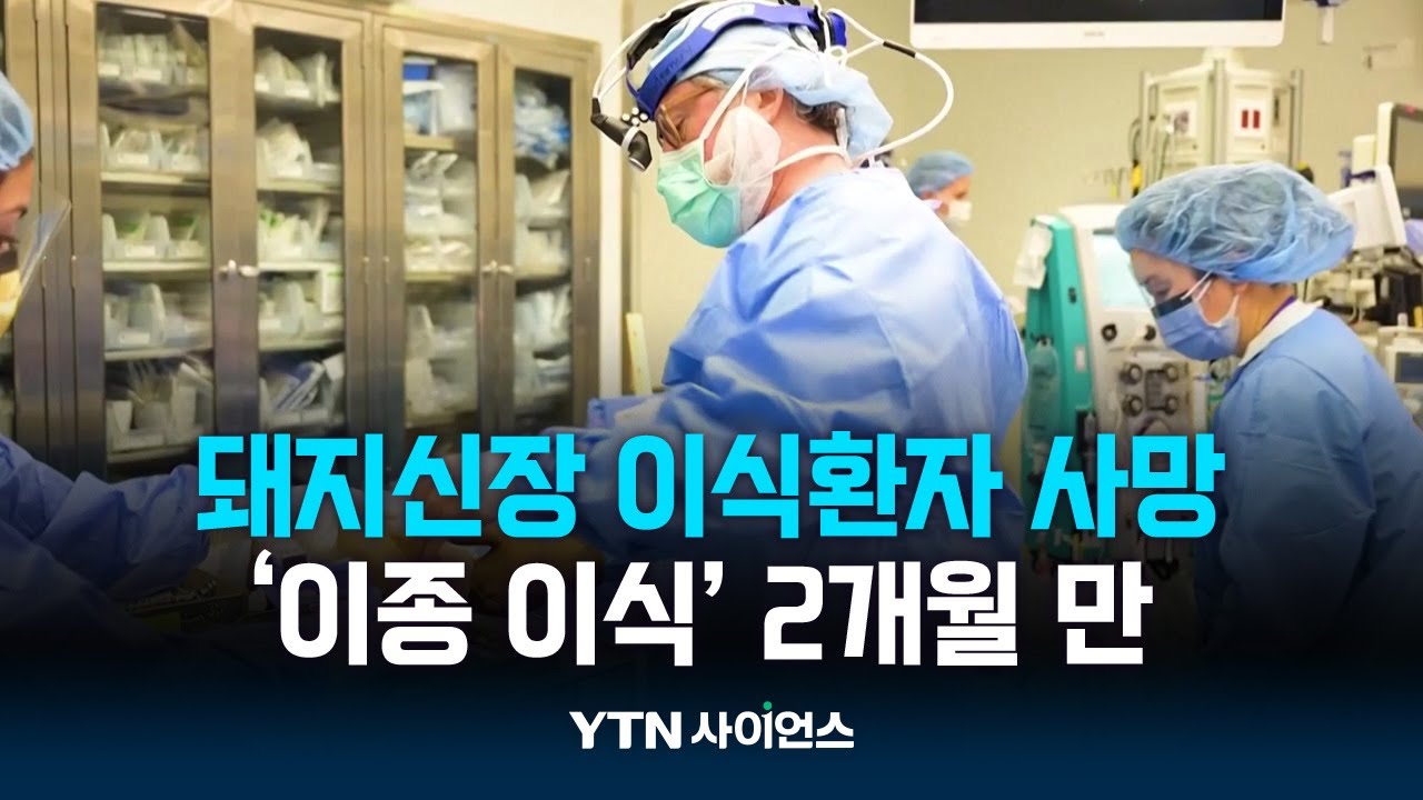 돼지신장 이식 환자, 2개월 만에 숨져...