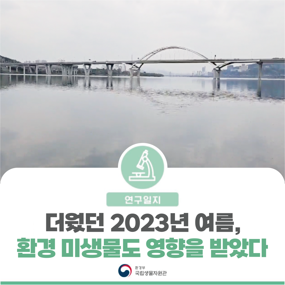 [연구일지] 더웠던 2023년 여름, 환경 미생물도 영향을 받았다