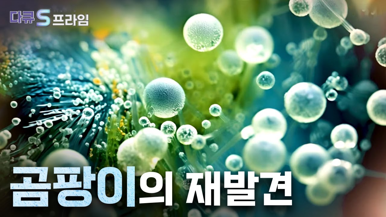미디어/YTN 사이언스/사이언스TV|사이언스올 사이언스올/미디어/YTN 사이언스/사이언스TV