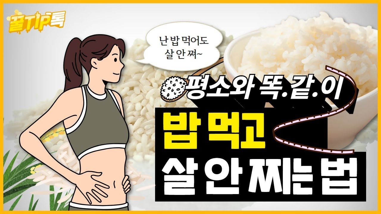 [꿀TIP톡 EP3] 엠비티아이 ‘DIET’인 사람🤚🤚 일반식 먹으면서도 살 안 찌는 법 대공개!!