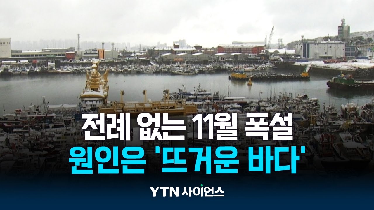 '뜨거운 바다'가 부른 눈폭탄...첫눈부터 폭설
