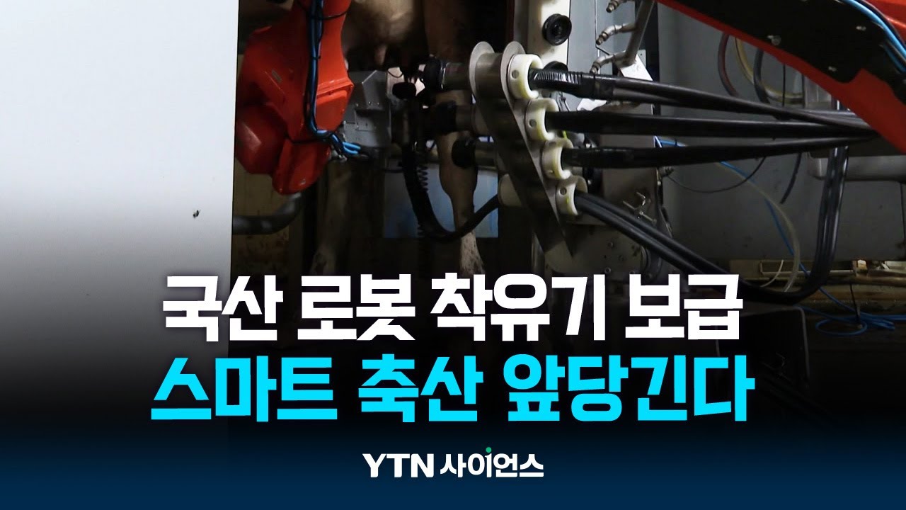 국산 로봇 착유기 보급 '착착'...스마트 축산 앞당긴다