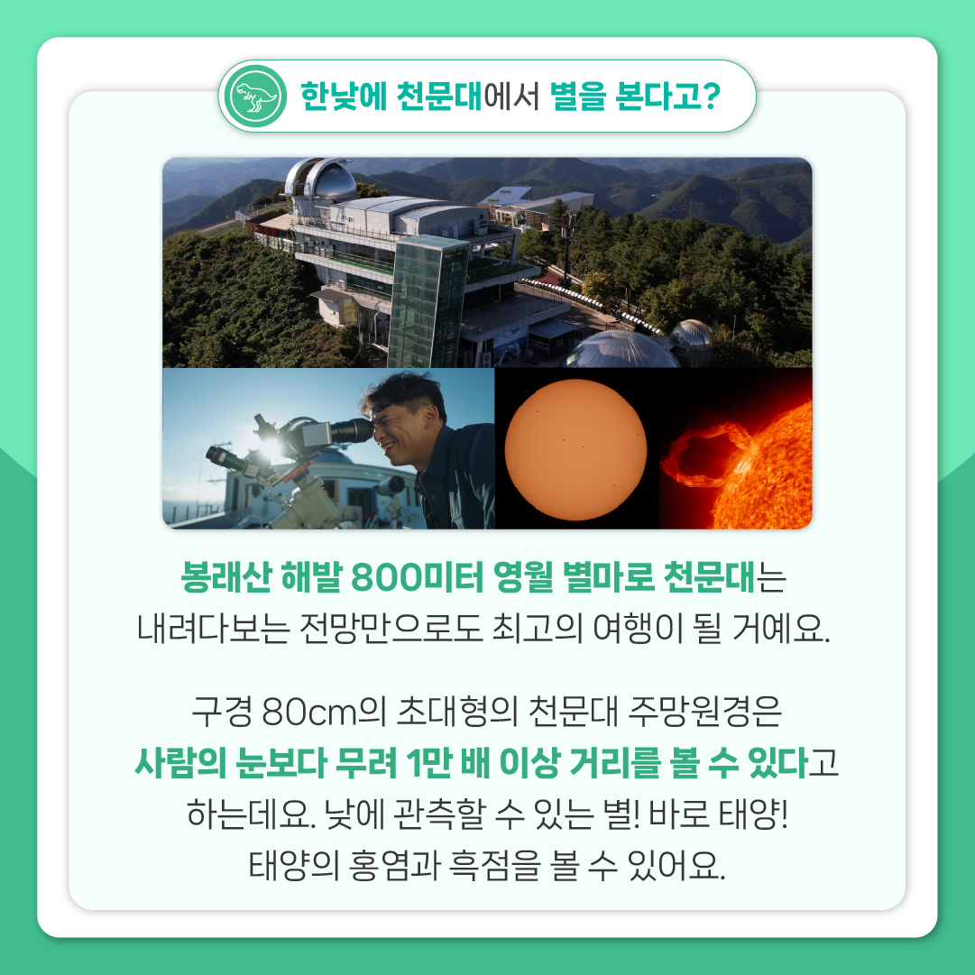 싸이아나존스 EP2 카드뉴스