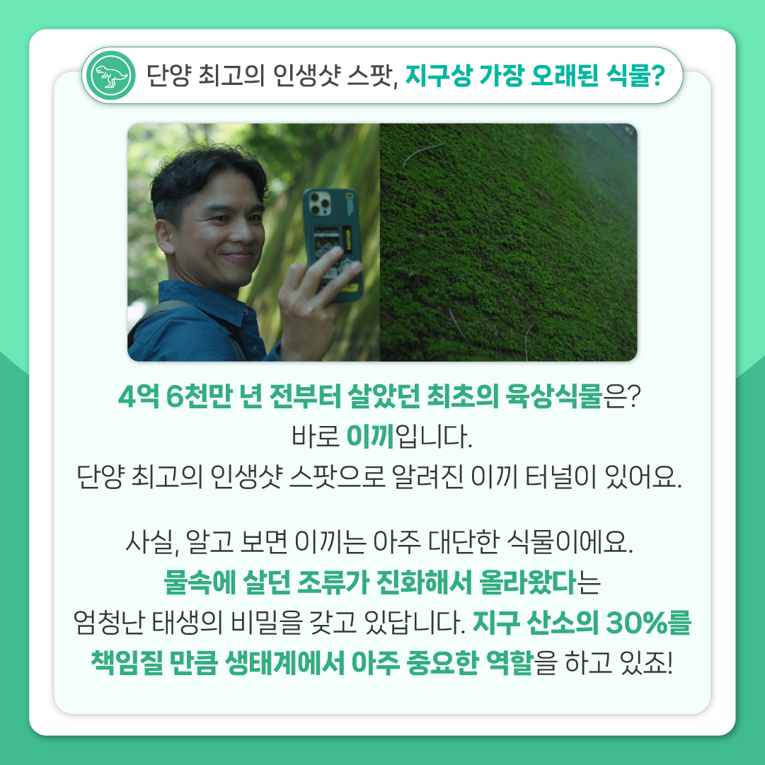싸이아나존스 EP2 카드뉴스