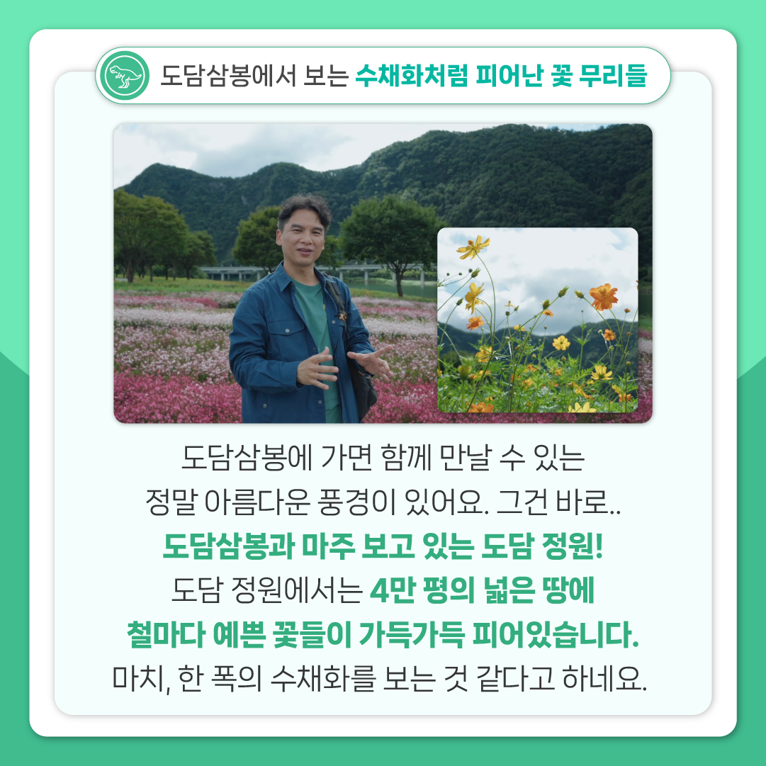 싸이아나존스 EP2 카드뉴스
