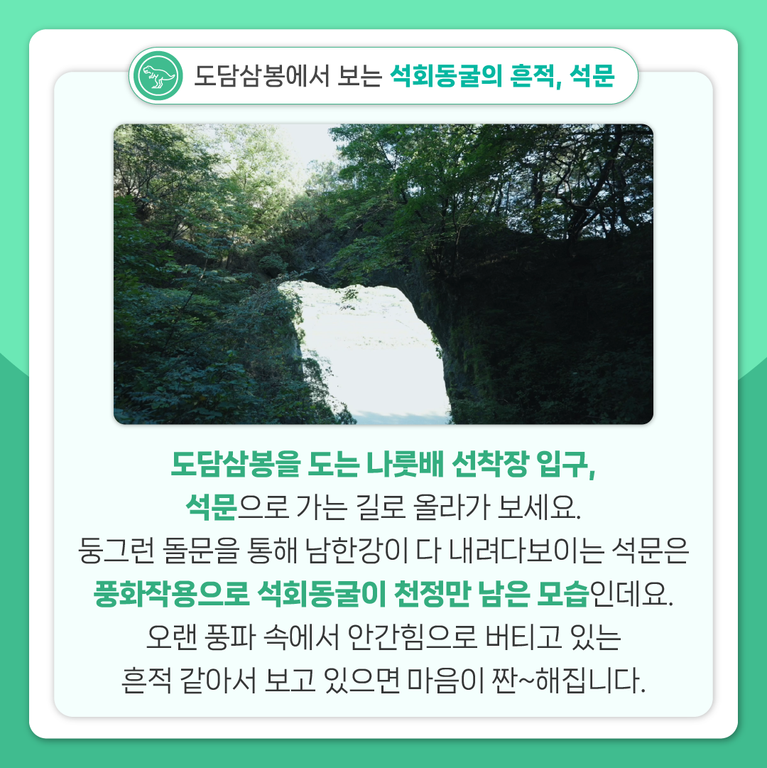 싸이아나존스 EP2 카드뉴스