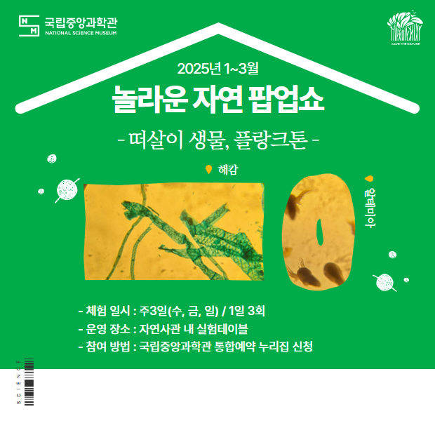 놀라운 자연팝업쇼 「떠살이 생물, 플랑크톤」