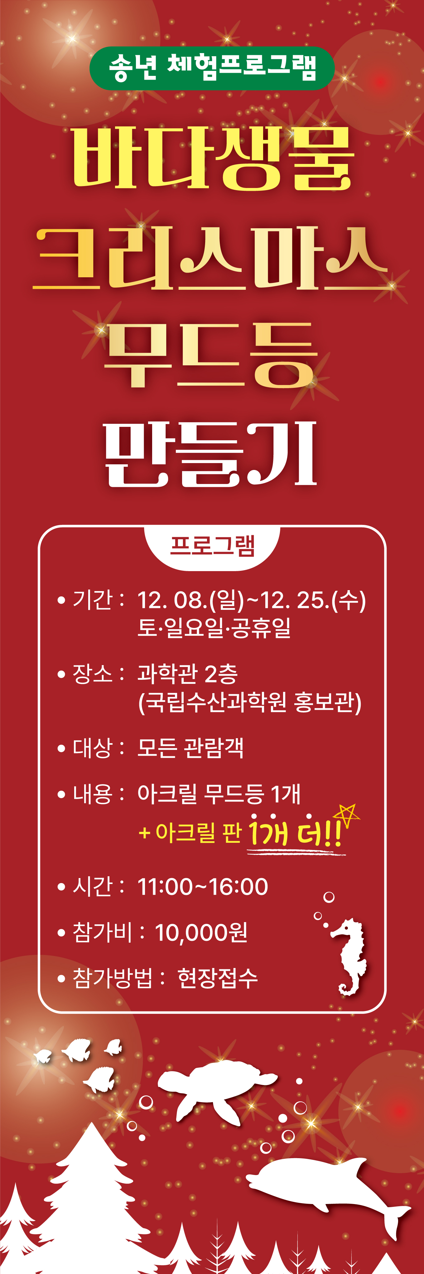[체험교육] 바다생물 크리스마스 무드등 만들기