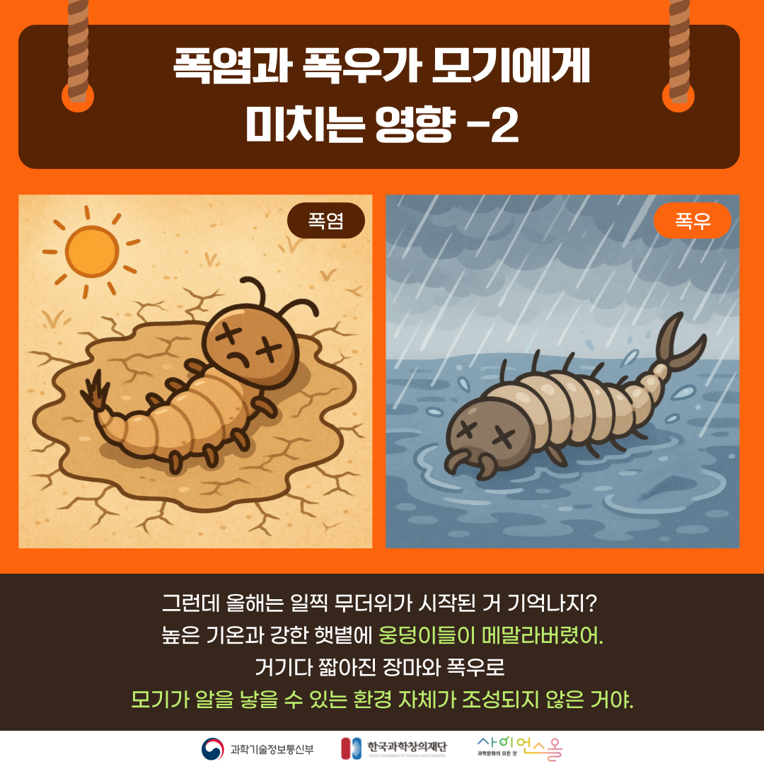 여름 불청객, 모기가사라졌다?! 카드뉴스