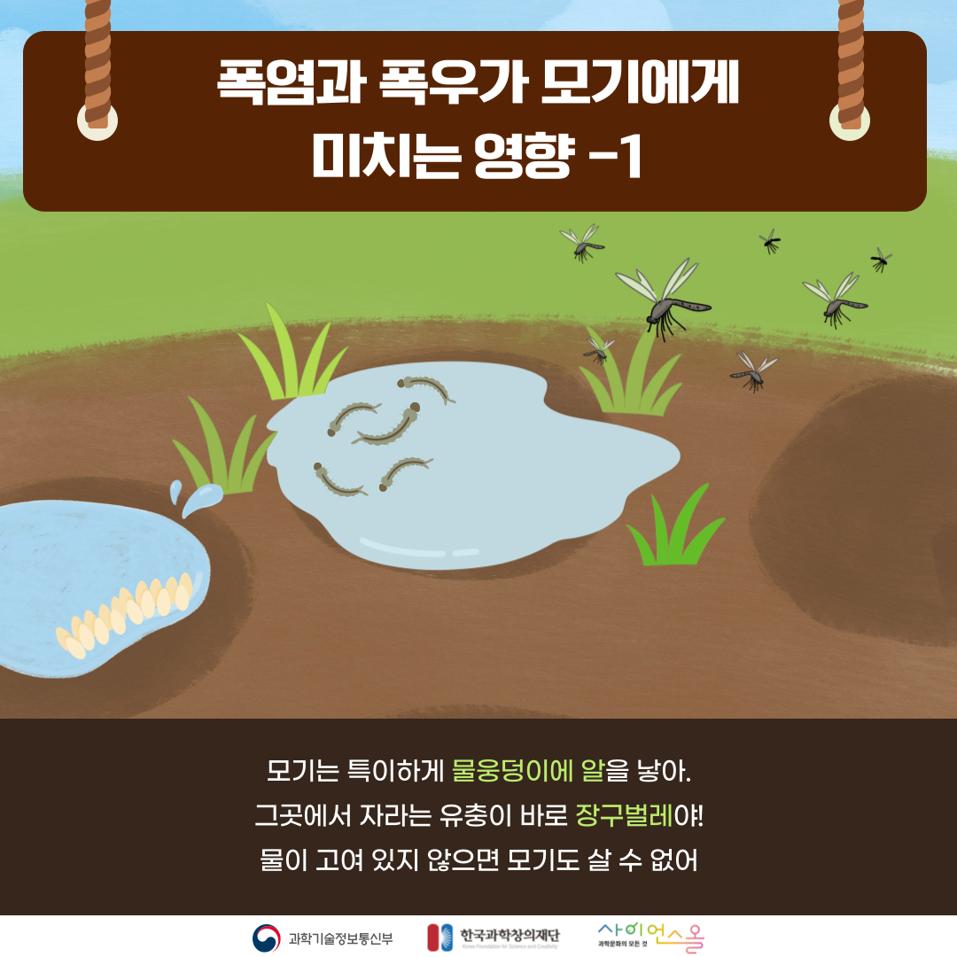 여름 불청객, 모기가사라졌다?! 카드뉴스