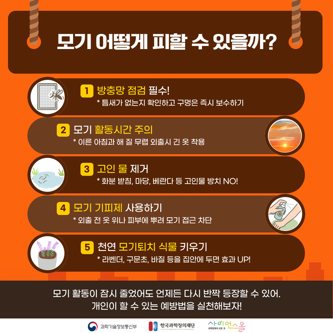 여름 불청객, 모기가사라졌다?! 카드뉴스