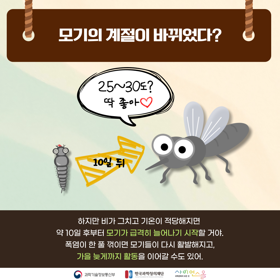여름 불청객, 모기가사라졌다?! 카드뉴스