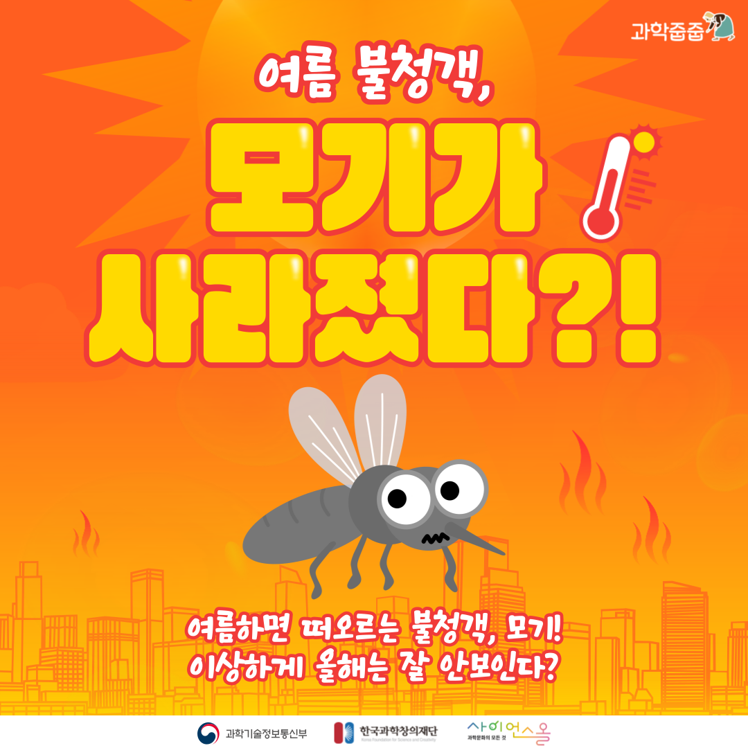 여름 불청객, 모기가사라졌다?! 카드뉴스 썸네일