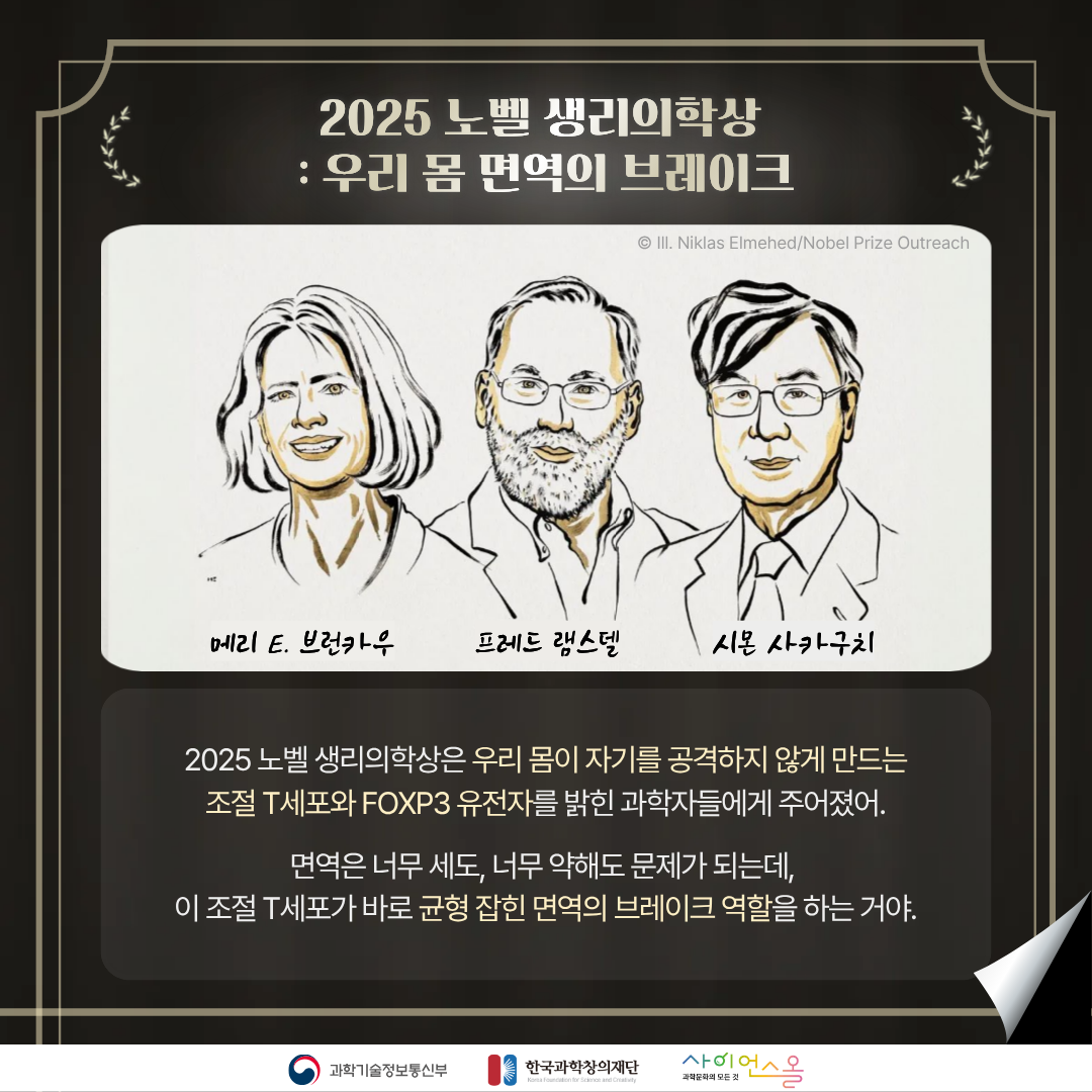 카드뉴스 본문5