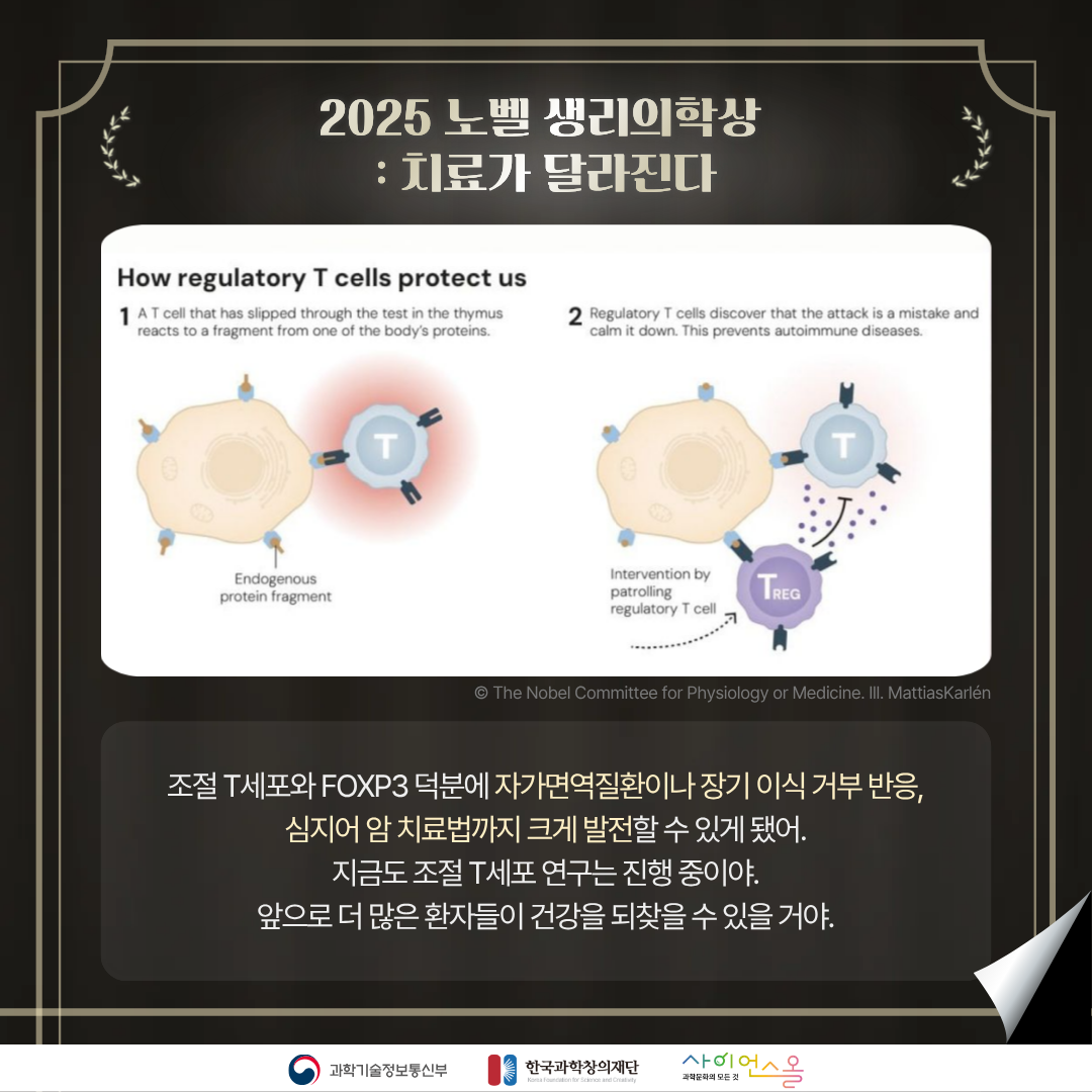 카드뉴스 본문6